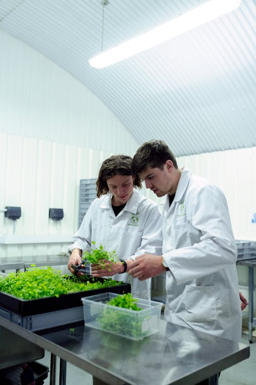 Foto profissional grátis de agricultura, checagem, ciência