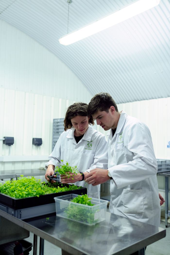 Scientists working with plants