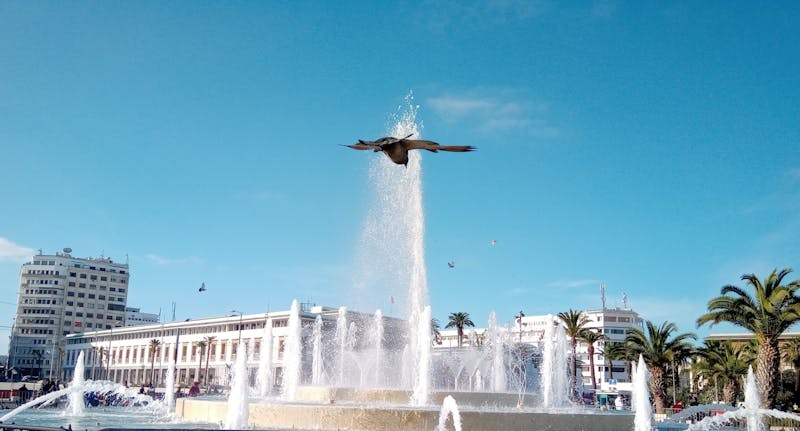 Công Thức Dựa Trên Dữ Liệu