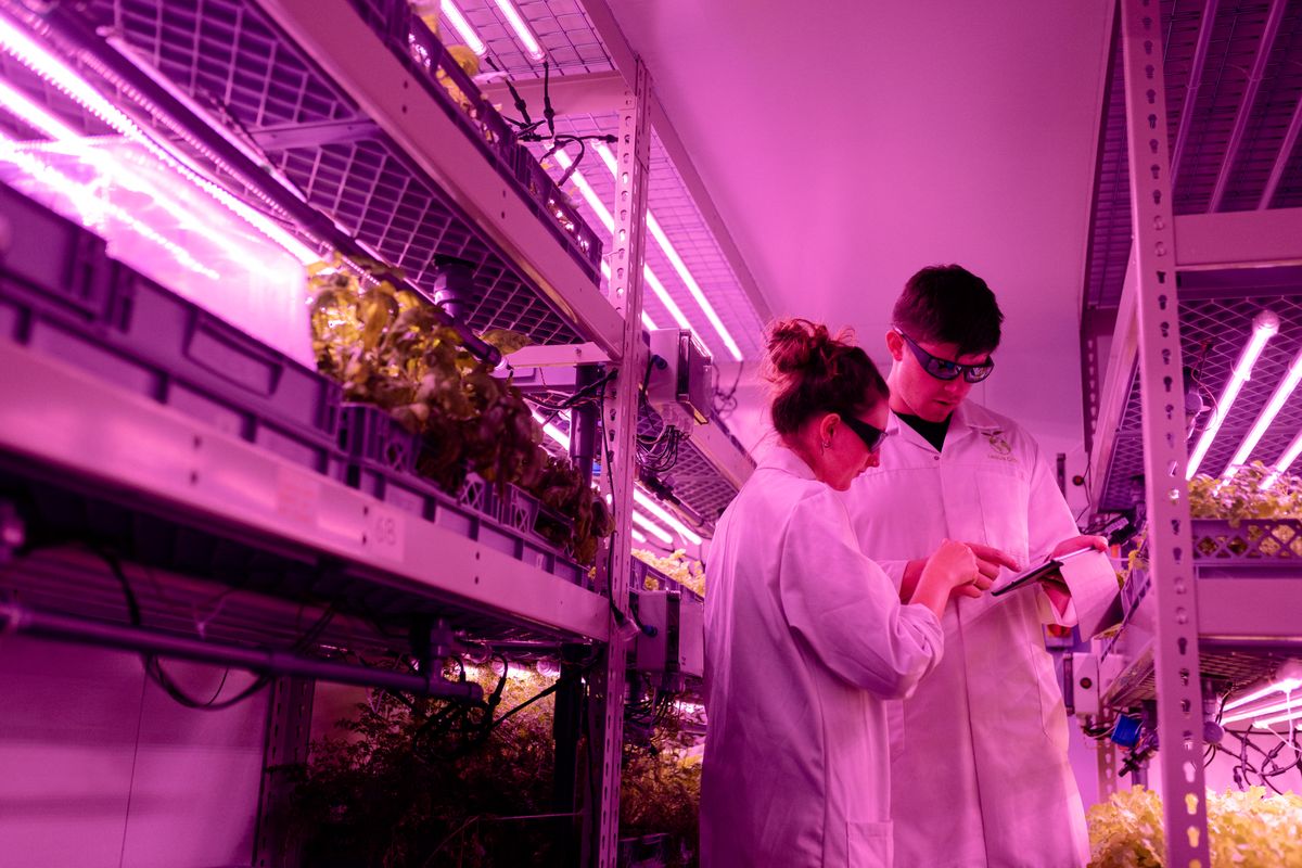 Point d'étape sur la recherche bio-alimentaire