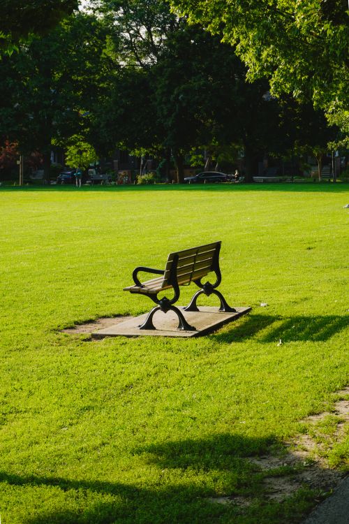 Free A solitary bench on vibrant green grass in a sunlit park setting, perfect for relaxation. Stock Photo