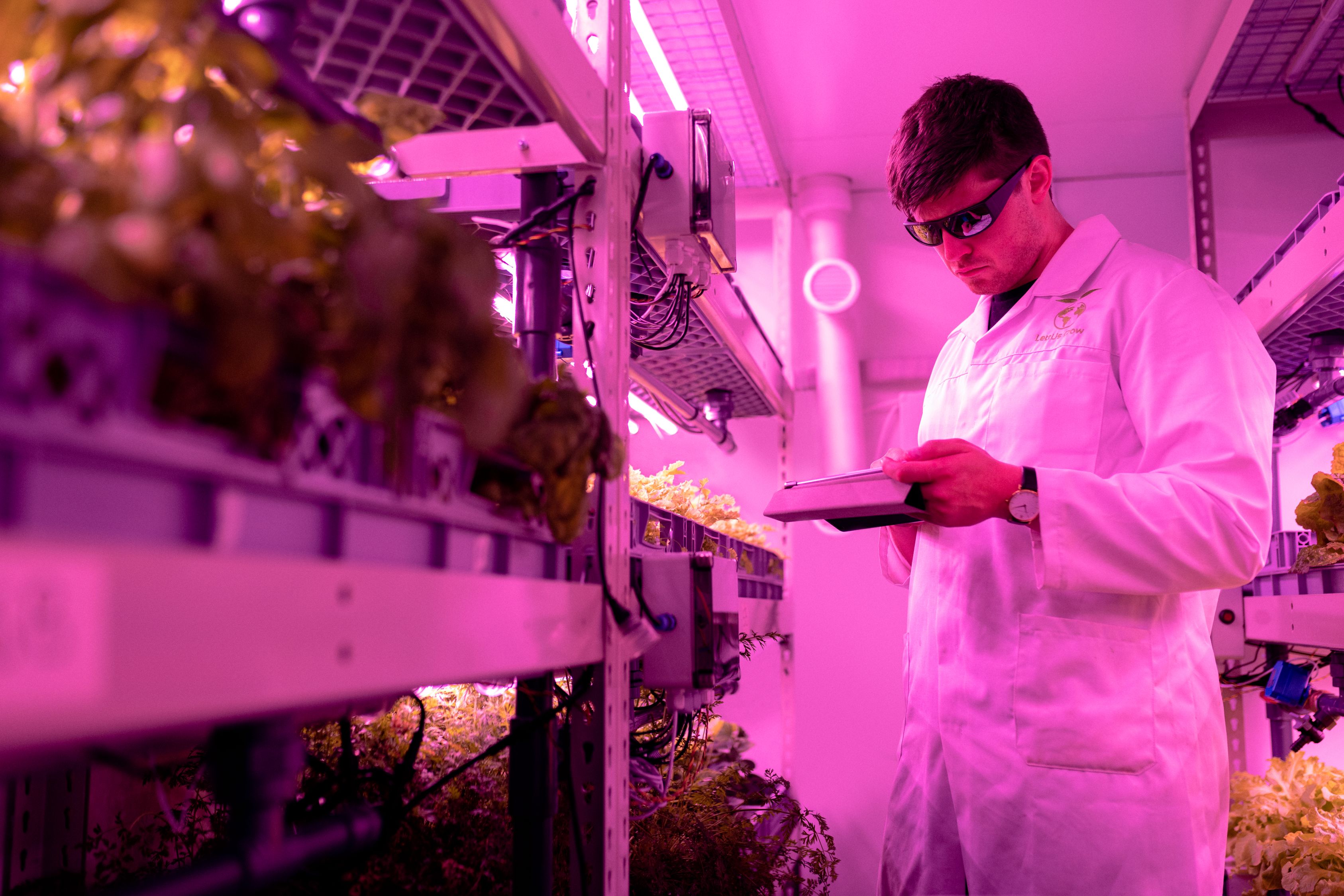 Scientist Checking Crops in Laboratory · Free Stock Photo