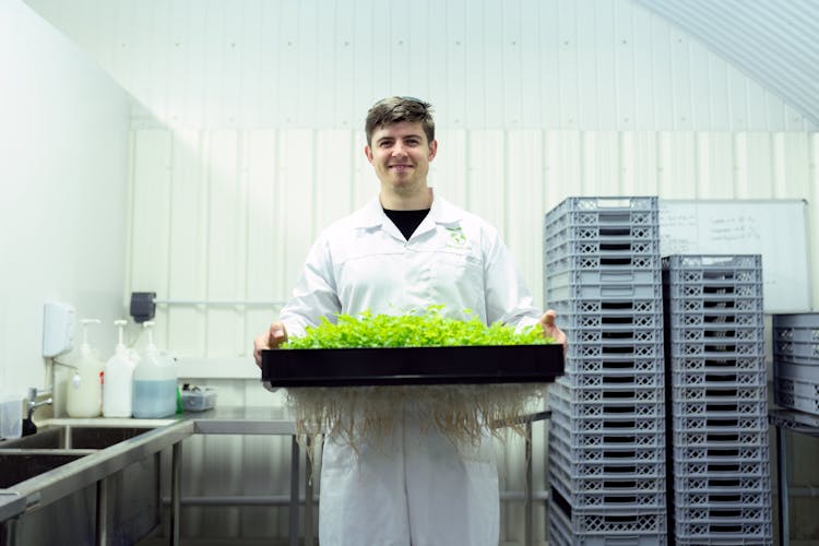 Scientist Holding Crops In Laboratory