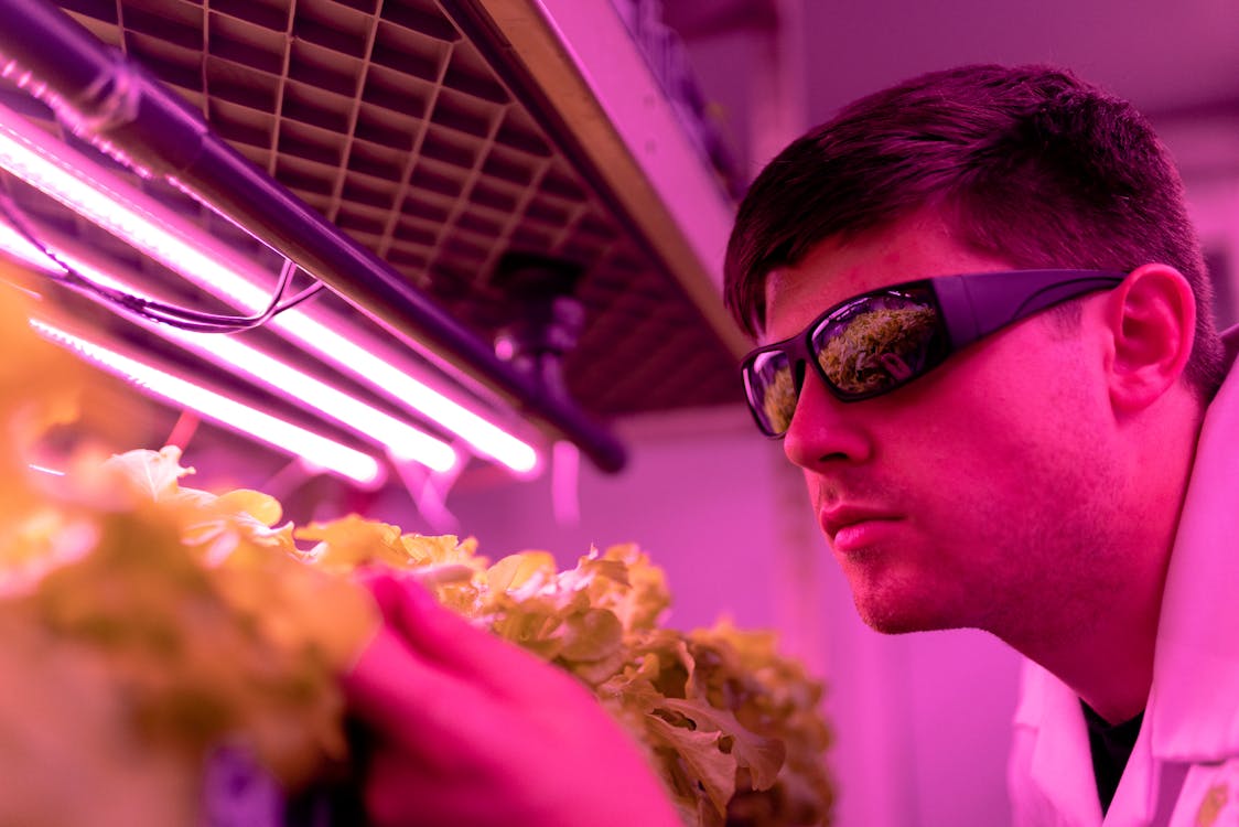 Scientist Checking Crops in Laboratory