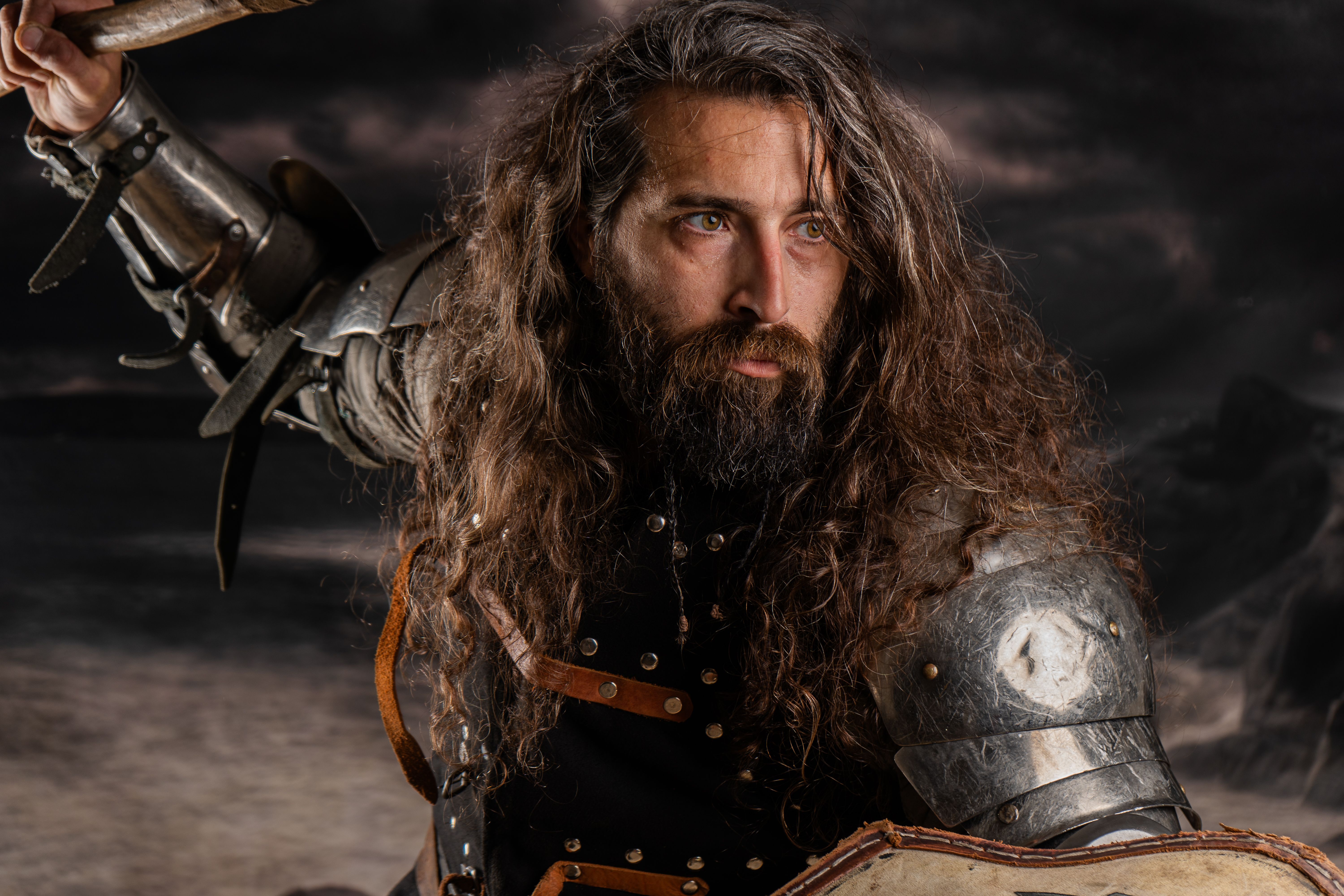 Bearded medieval warrior in armor and shield, poised for combat against a stormy backdrop.