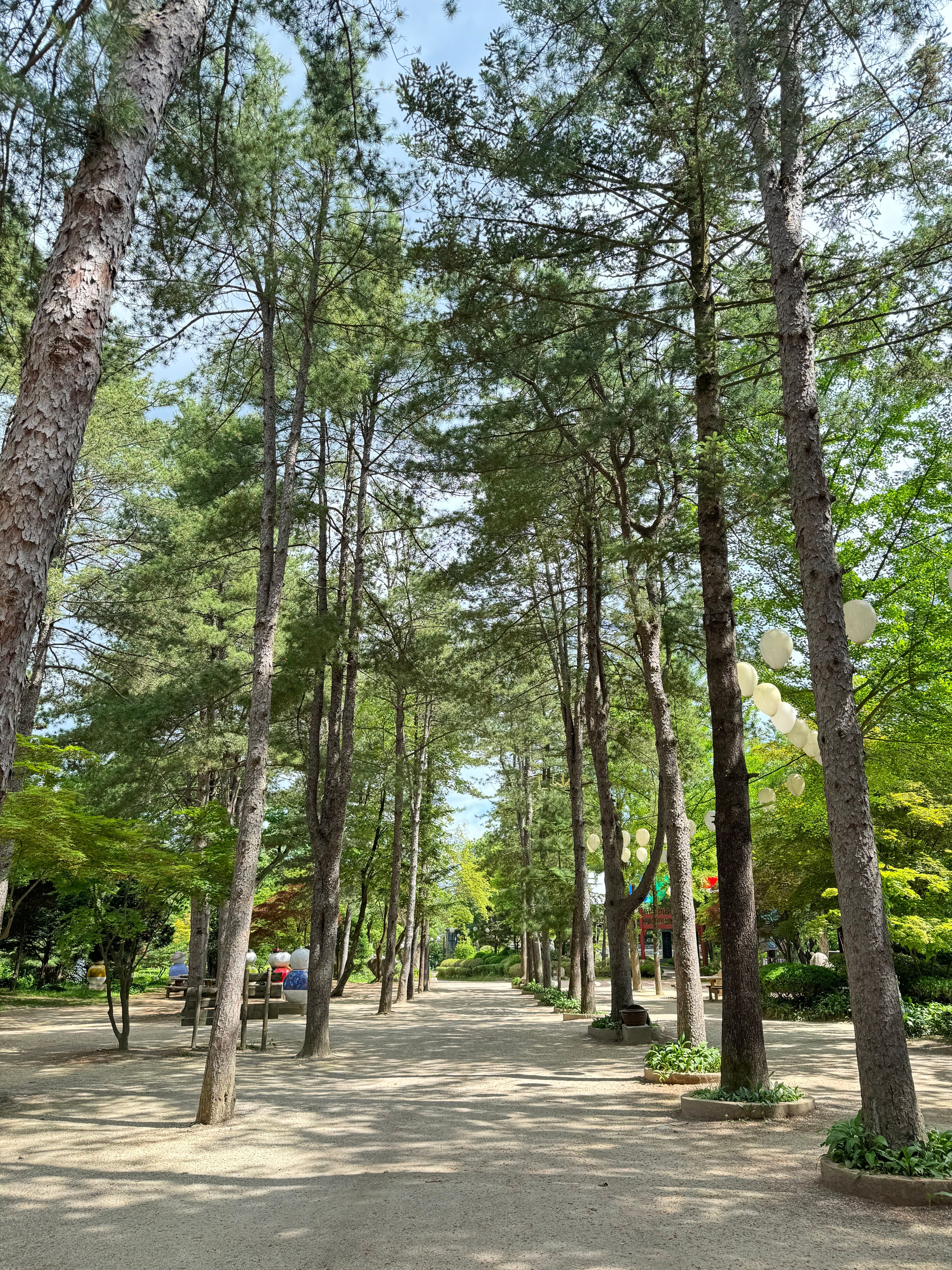 A peaceful path through a sunlit park with tall trees and dappled light on a bright day.