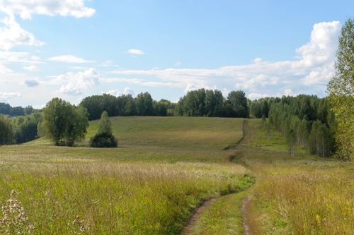 Free A serene landscape featuring a grassy field with a path and trees under a vibrant blue sky with clouds. Stock Photo
