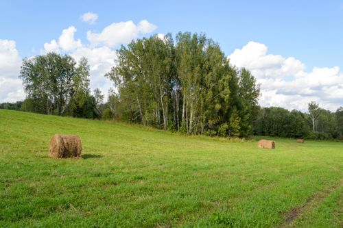 Free Scenic view of a grassy field with hay bales and trees under a partly cloudy sky, depicting serene nature. Stock Photo