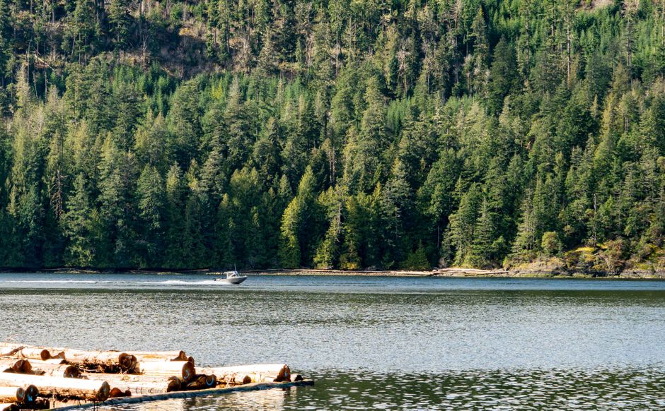 Spend Time at Stonewall Jackson Lake State Park things to do in weston wv