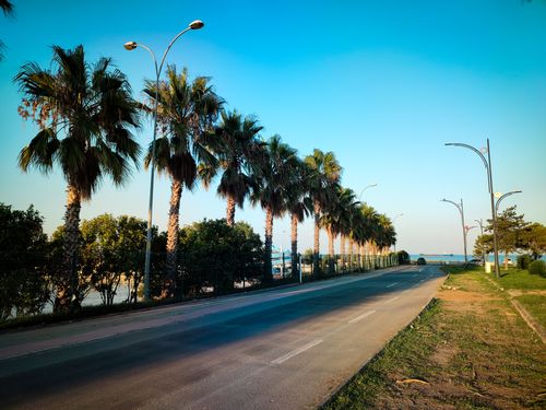 Free Beautiful palm-lined road in Samsun, Türkiye, under a vibrant sky, perfect for travel and nature themes. Stock Photo