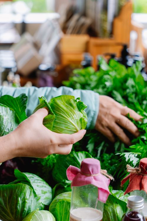 Free Close-up of hands picking fresh cabbage and greens at a local market stall. Stock Photo