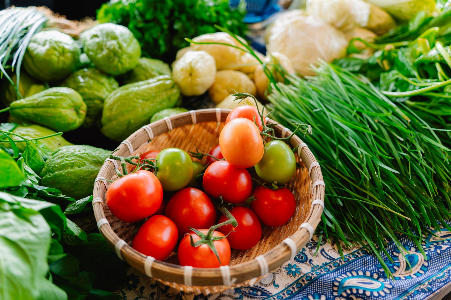 Antioxidants Explained: How These Cellular Defenders Protect Your Health from the Inside Out