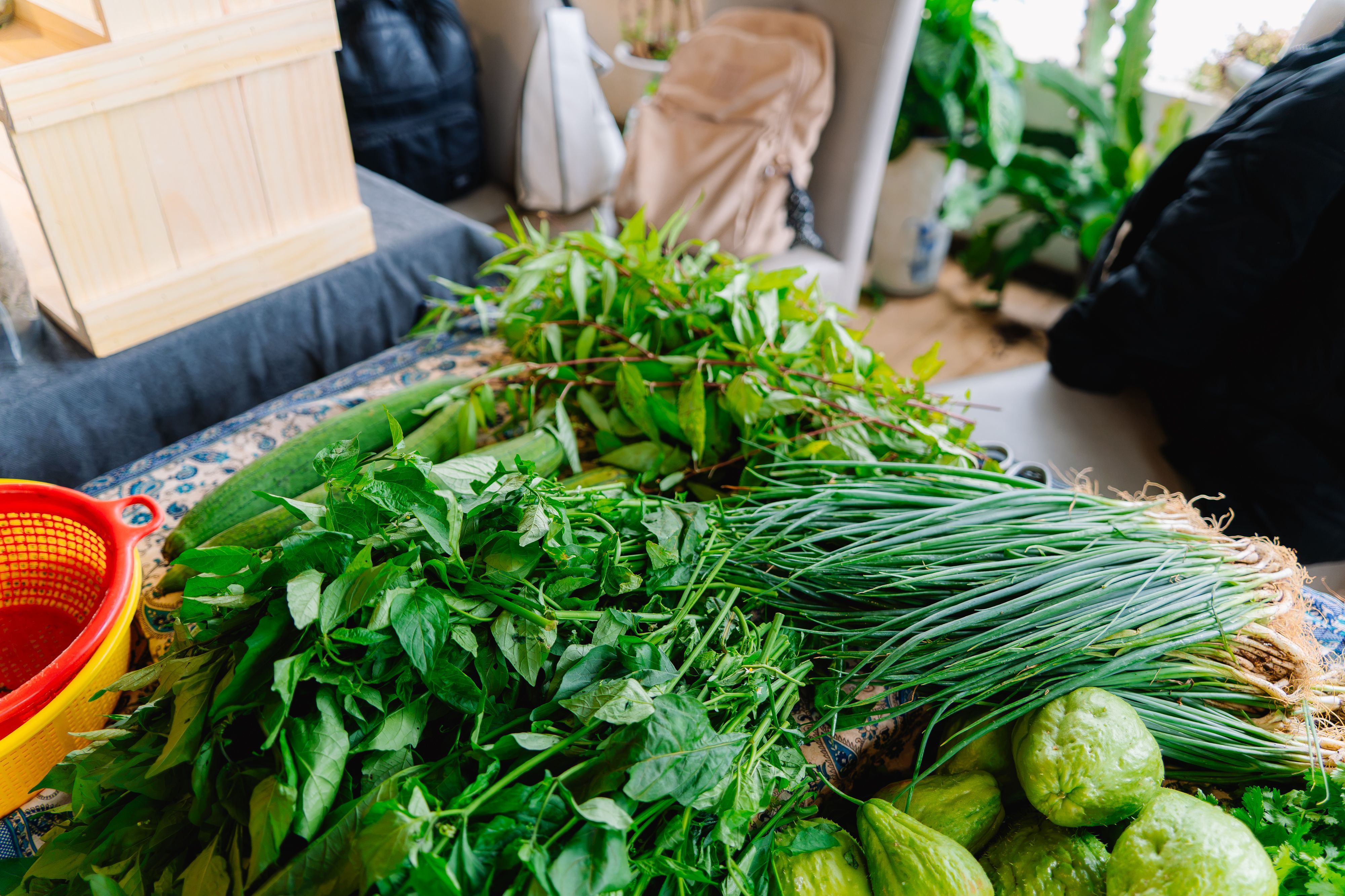 Hortifruti