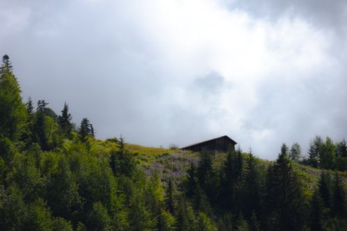 Free A solitary cabin perched on verdant hills under a cloudy sky in Rize, Türkiye. Stock Photo
