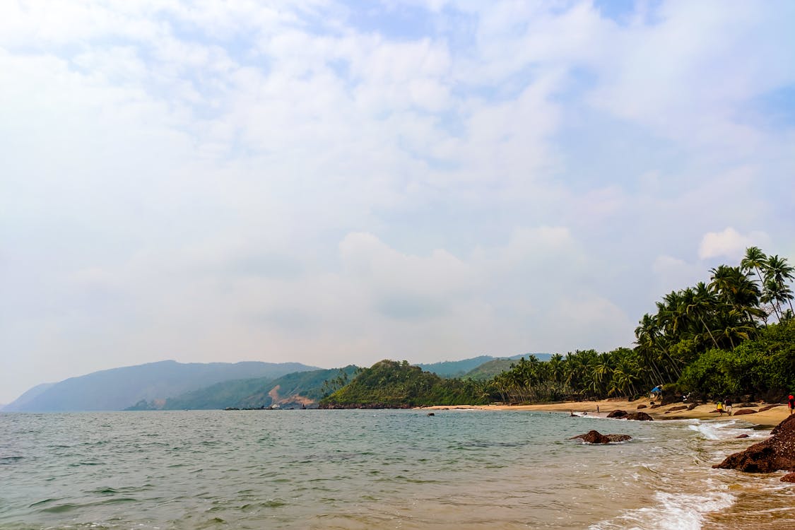 Free stock photo of beach, goa, india