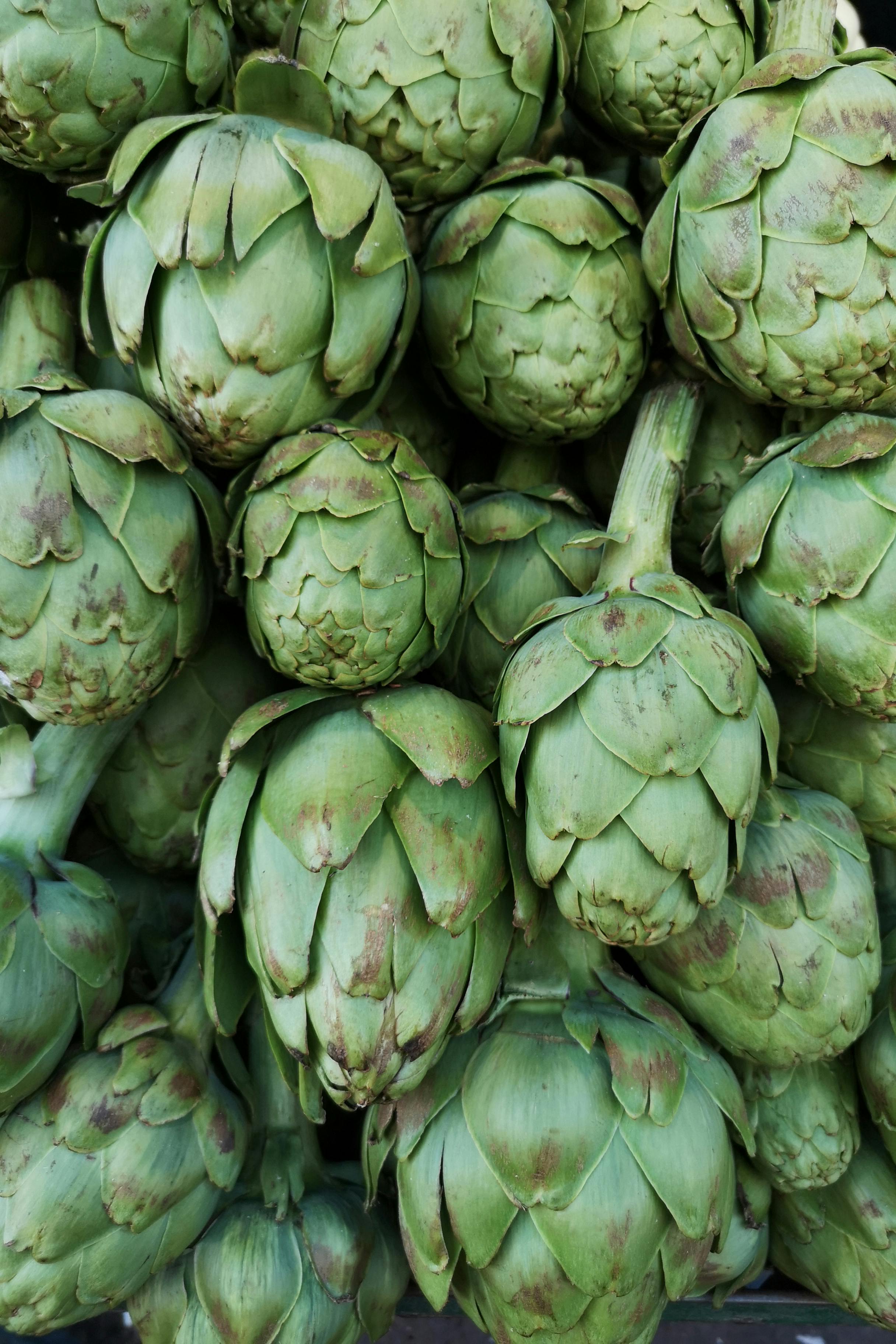 how-to-cook-artichokes-jessica-gavin