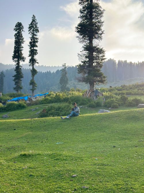 Free A person sits on lush green grass in a tranquil forest setting during daylight. Stock Photo