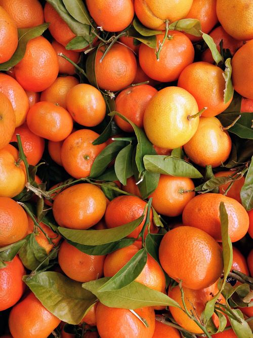 Free Pile of vibrant mandarin oranges with green leaves, showcasing freshness and vitality. Stock Photo