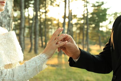 Free Close-up of a couple exchanging rings in a sunlit forest setting. Stock Photo