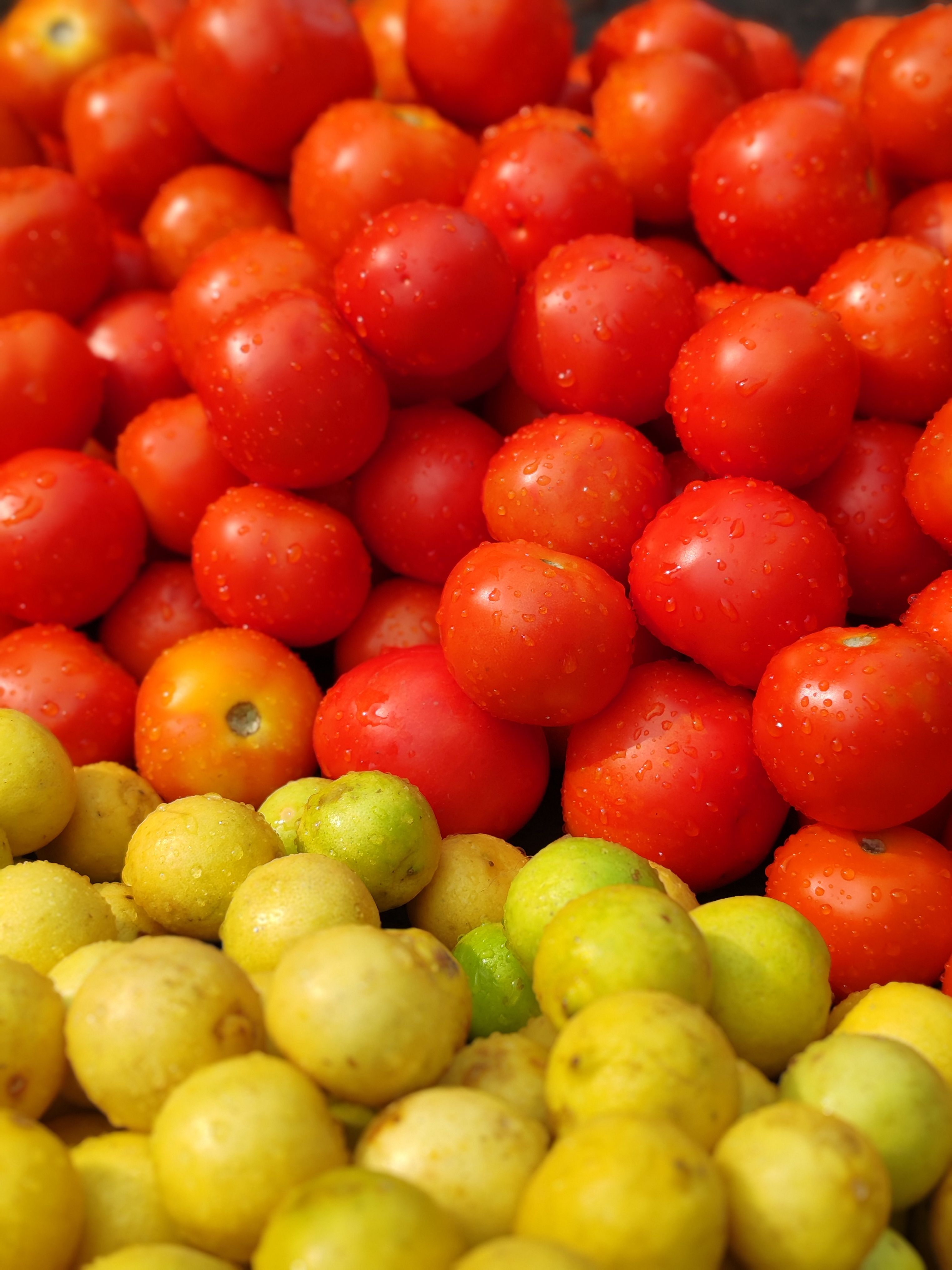 Leite em Pó (400g)