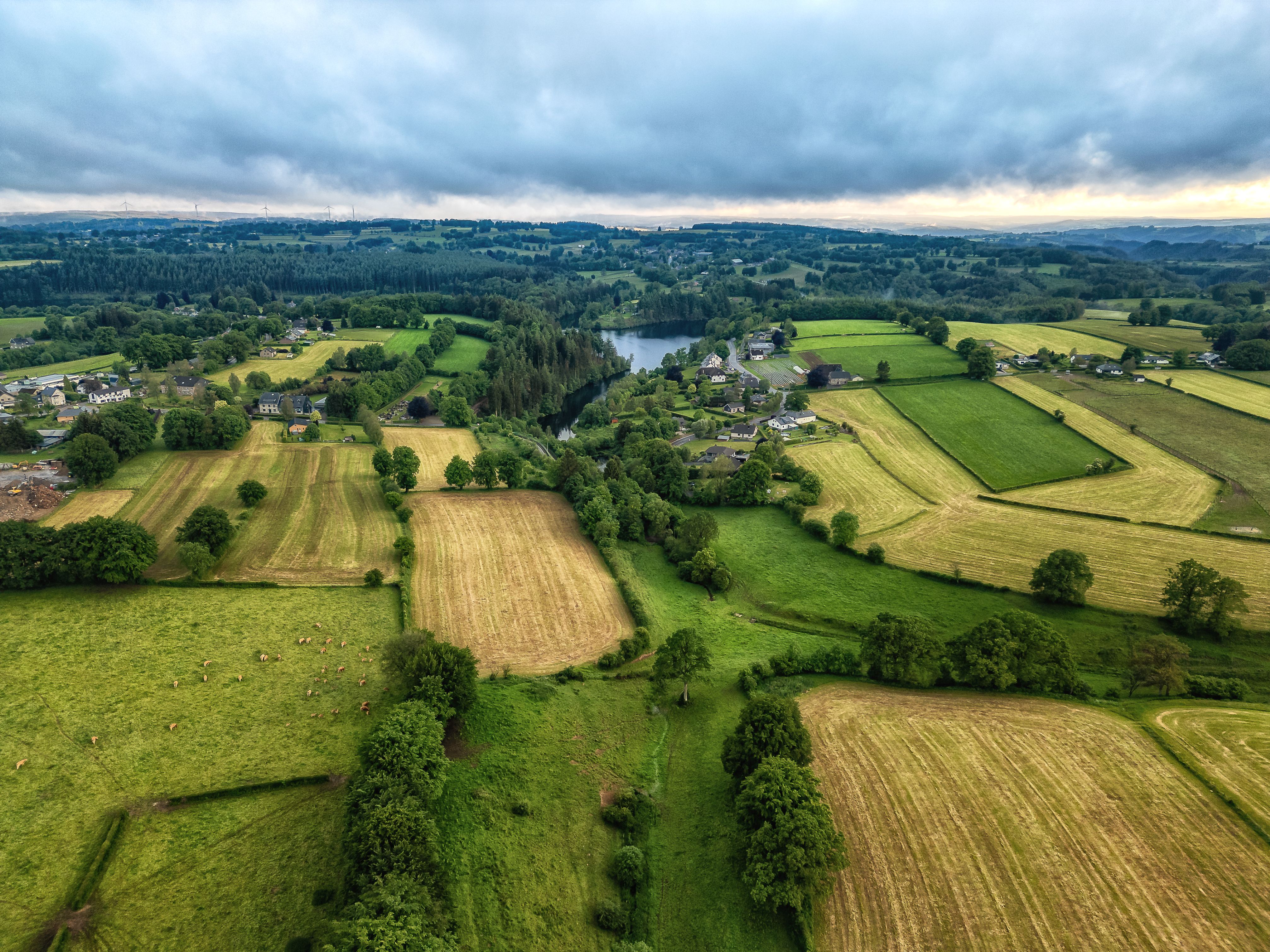 Aerial view of the serene and lush countryside landscape near Robertville, Belgium.