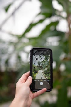 A smartphone captures a vibrant tropical garden with a path.