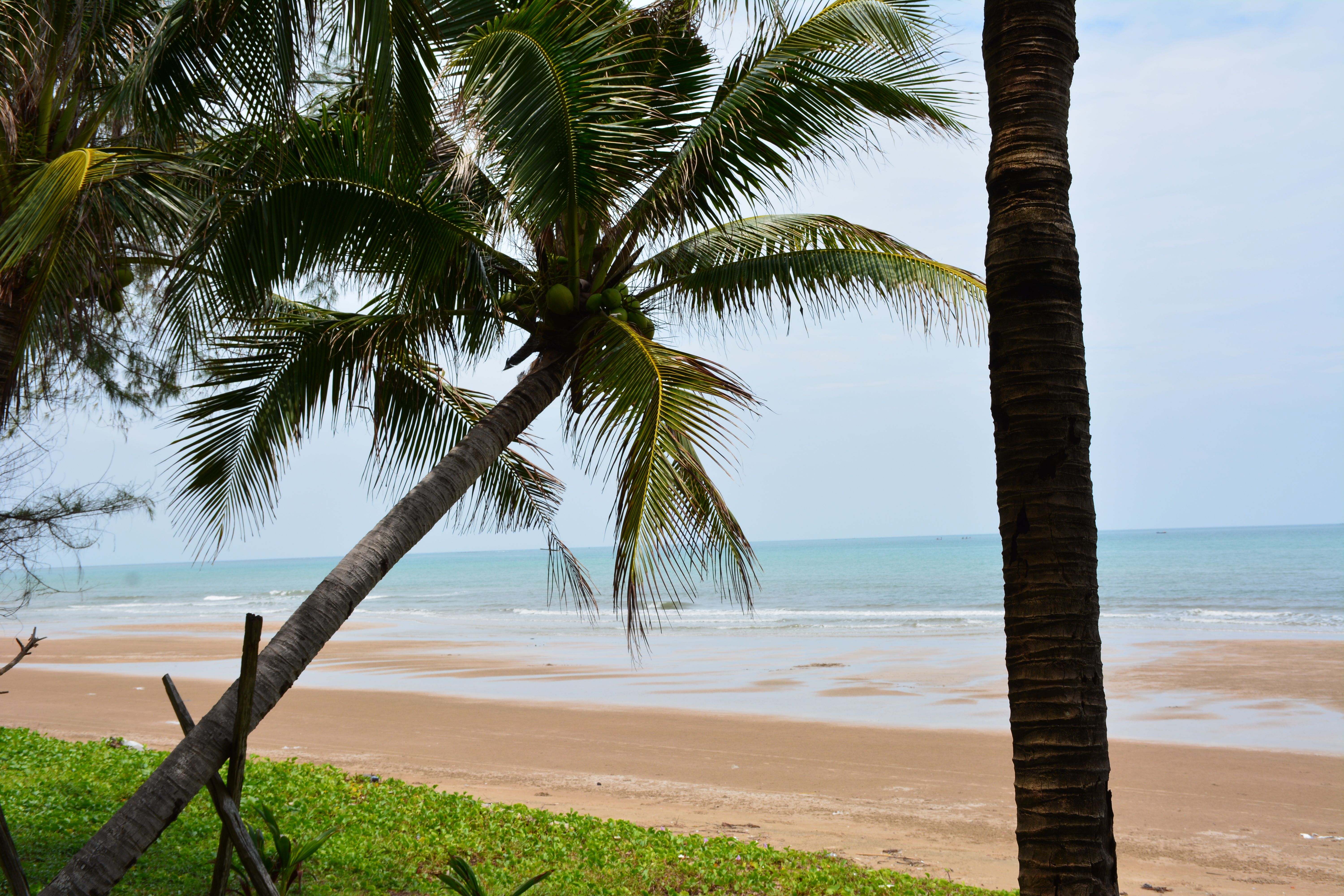 Phuket sin jefes de distrito: qué significa para quien compra vivienda