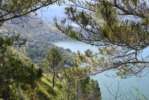 Free Beautiful scenic view of a tranquil lake framed by lush pine trees. Stock Photo