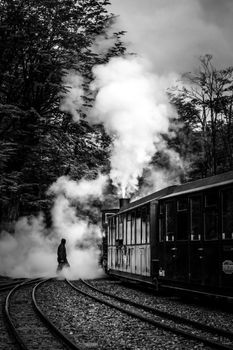 Black and white photo of a person walking beside a steaming train in a forest.