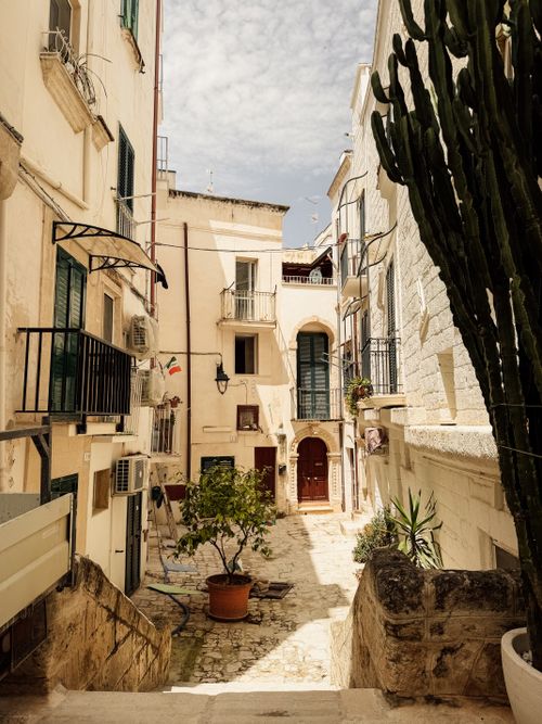 Free Quaint alleyway in Polignano a Mare, Italy, with rustic architecture and vibrant greenery. Stock Photo