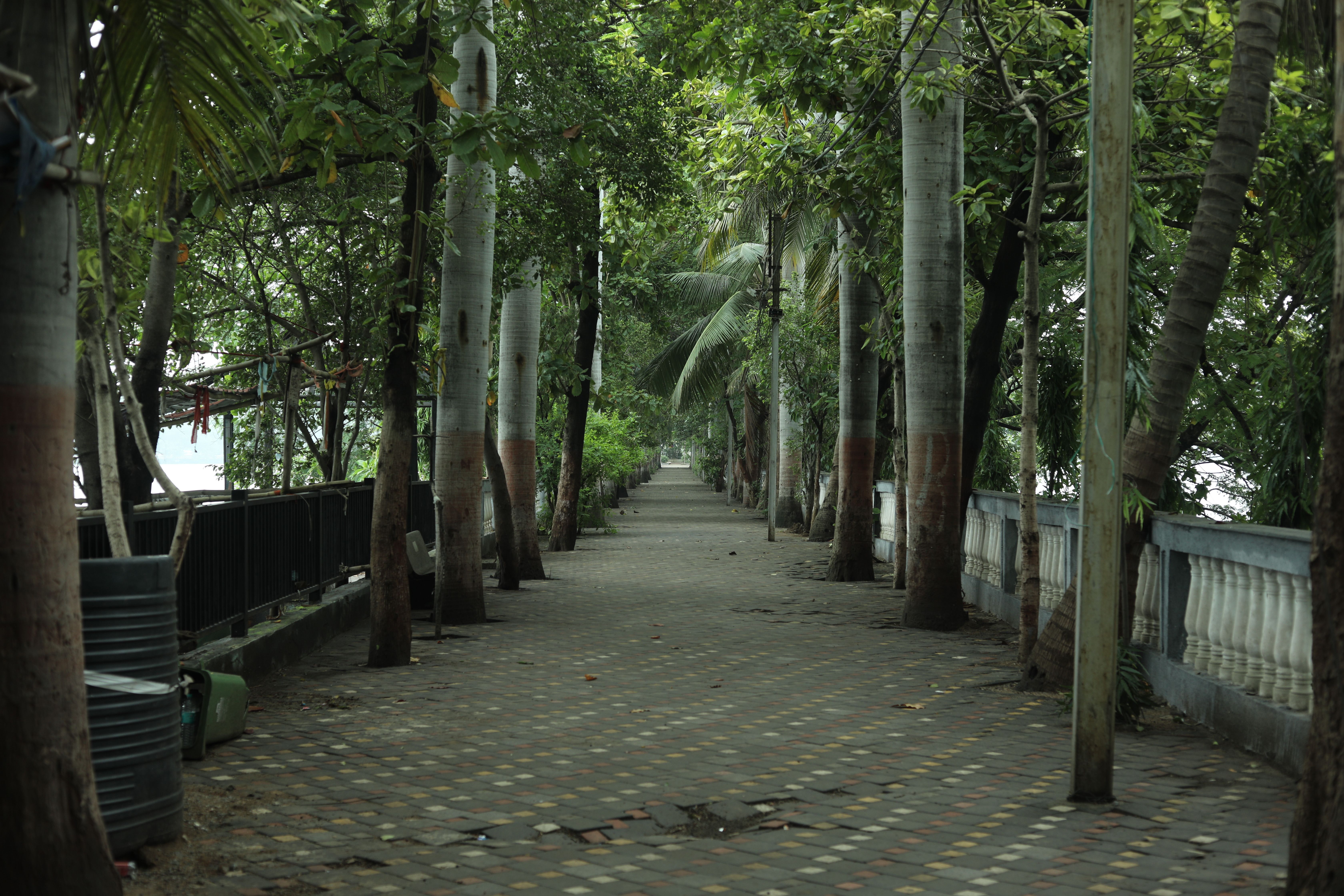 Raipur travel and vehicle rental photo 2