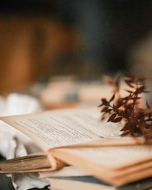 home decor education entrepreneurship