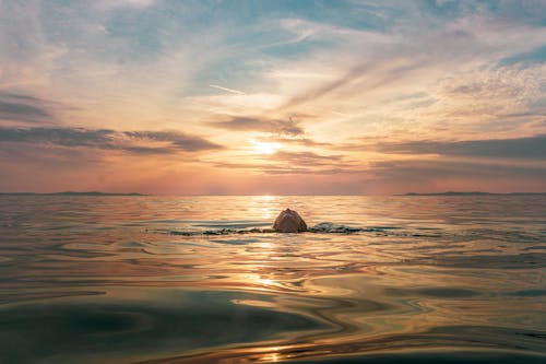 Woman Floating In Body Of Water During Sunset