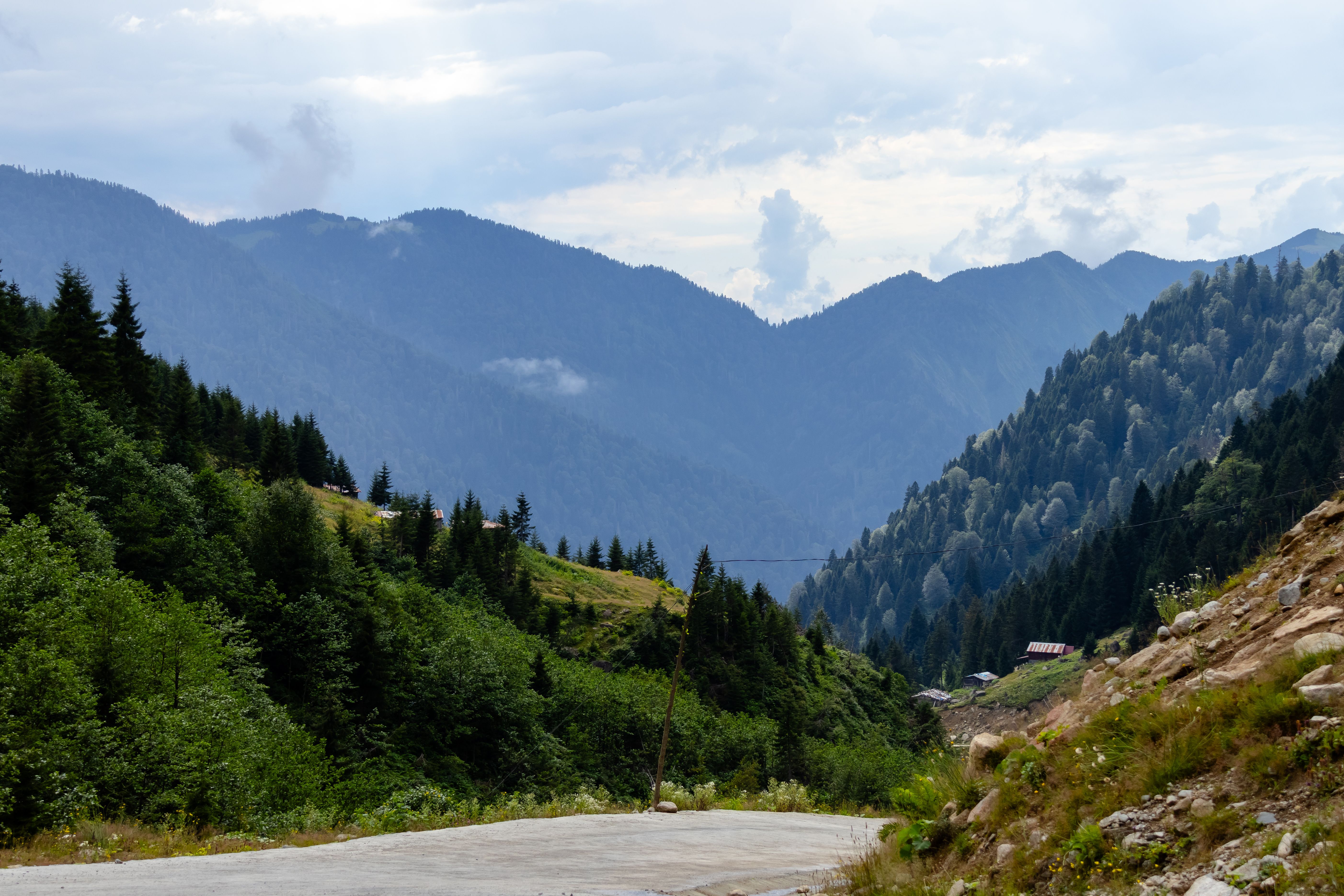 Peaceful mountain scene with lush greenery in the region of Rize, Türkiye.