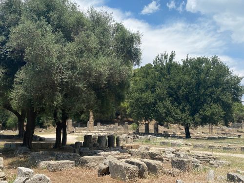 Free Explore the serene ancient ruins of Olympia with lush olive trees under a bright sky. Stock Photo