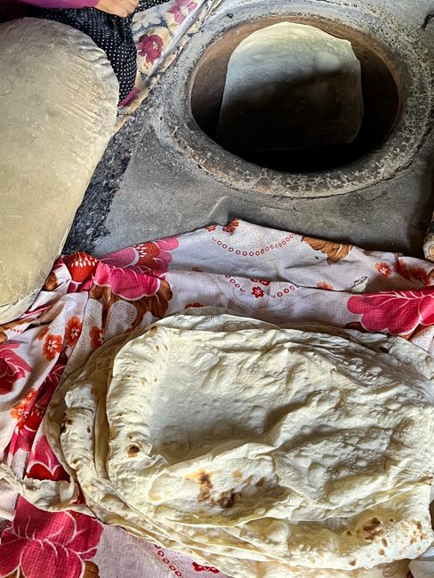 Lavash