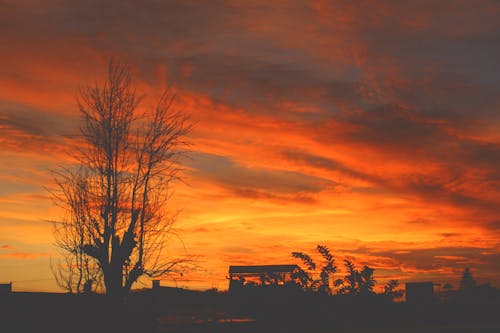 Immagine gratuita di cielo al tramonto, colore del tramonto, fanilo