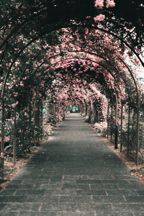Flower Covered Tunnel