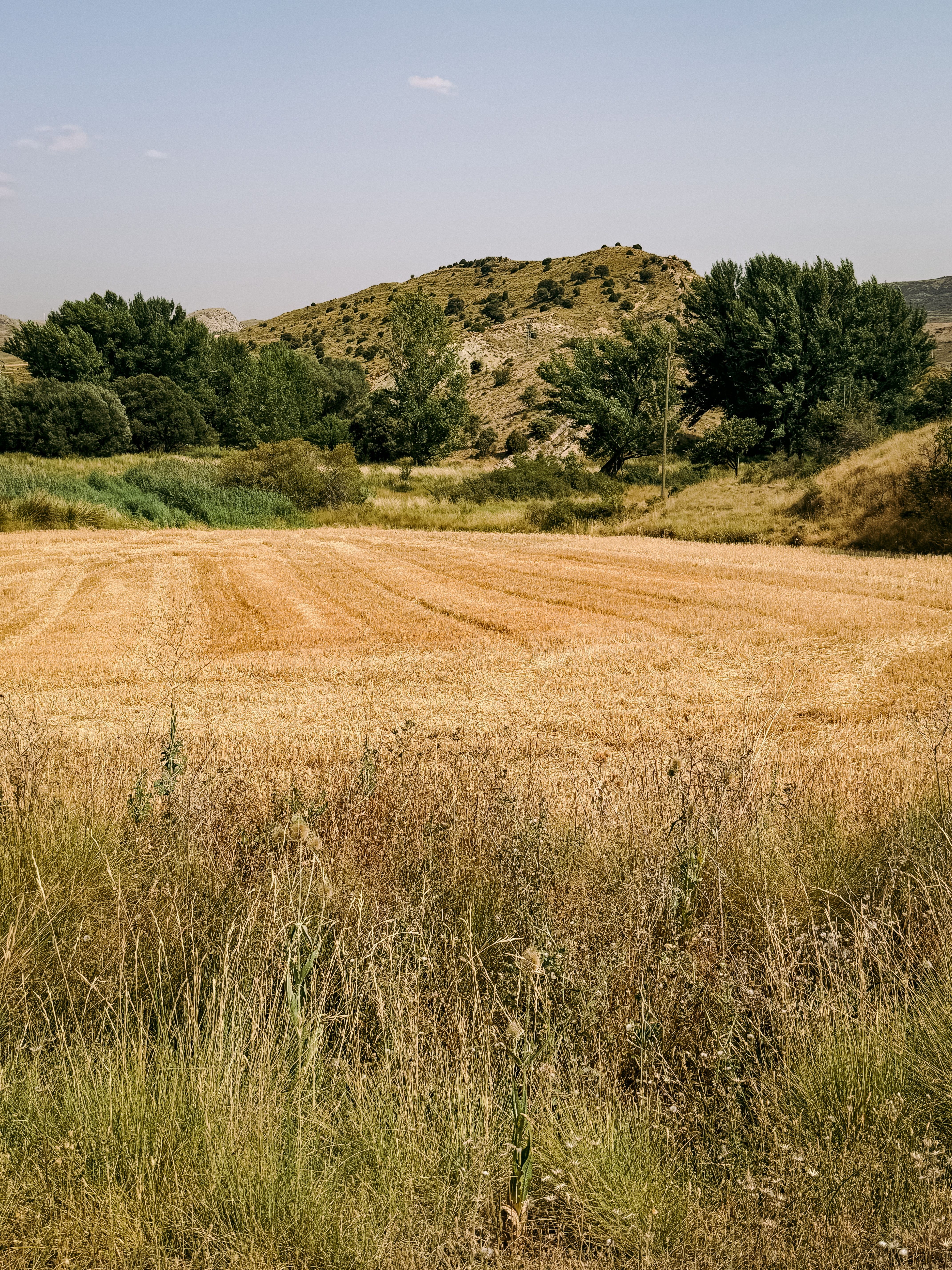 Il Campo vuole una stagione tranquilla