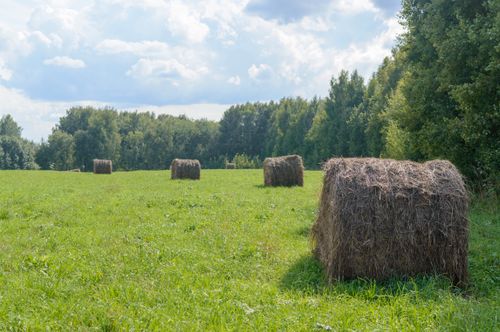 Free Serene view of a green field with hay bales and a cloudy sky, evoking peace and nature's beauty. Stock Photo