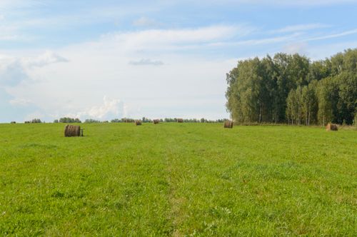 Free A peaceful summer landscape with hay bales in a vast green field under a partly cloudy sky. Stock Photo