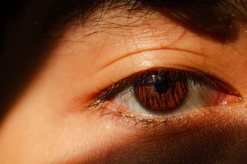 Free Detailed macro shot of a human eye with sunlight reflections creating a dramatic and warm tone. Stock Photo