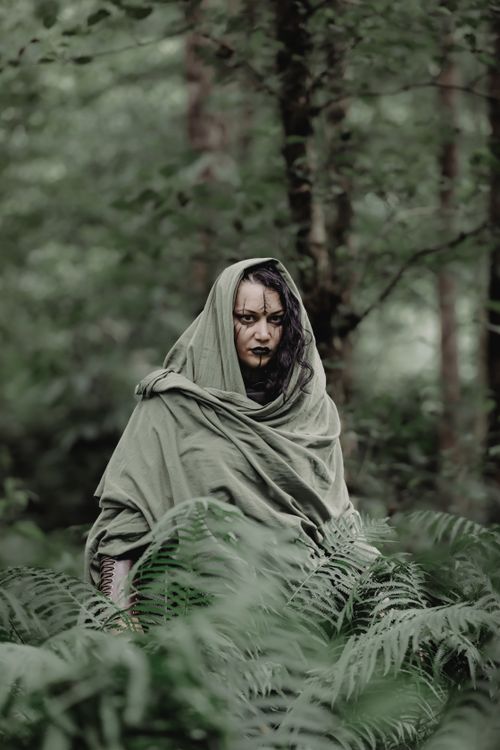Free A mysterious, hooded figure stands surrounded by lush ferns in a mystical forest setting. Stock Photo