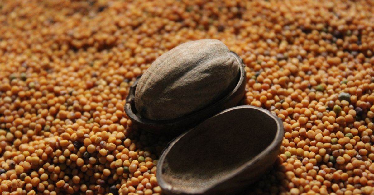 Seed channel