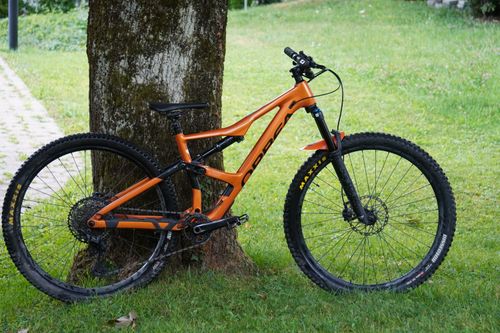 Free A vibrant orange mountain bike leaning against a tree on green grass, perfect for outdoor enthusiasts. Stock Photo