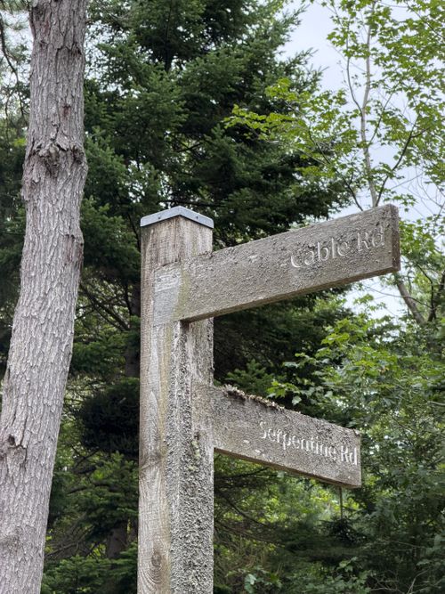 Free Weathered wooden trail signpost in a verdant forest setting in Halifax, Canada. Stock Photo