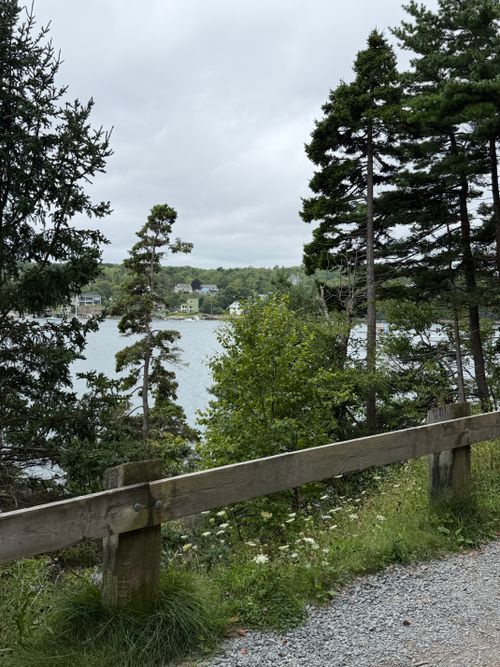 Free Serene waterfront in Halifax, NS, featuring lush trees and tranquil waters. Stock Photo