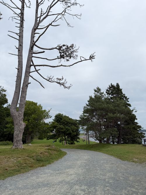 Free A picturesque path winds through a park in Halifax, NS, surrounded by lush trees and open sky. Stock Photo