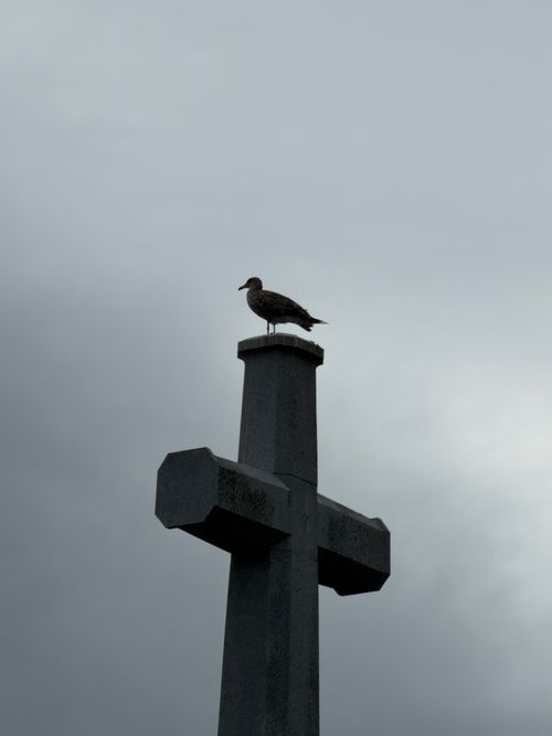 Free A seagull sits atop a cross monument against a cloudy sky in Halifax, Canada. Stock Photo