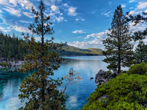 Free Captivating view of Lake Tahoe with pine trees and clear blue sky, perfect for nature lovers. Stock Photo